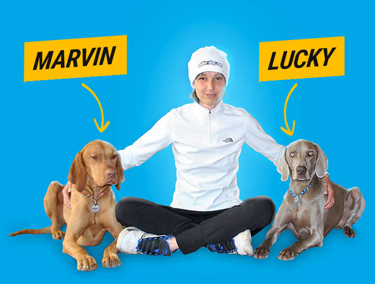 Csizmadia Réka kutyatréner kutyaoktató és tréner Marvin magyar vizsla Lucky weimari vizsla